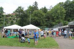 20240719-IMG_0219