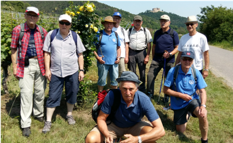 Trimm Dich-Wanderung in die Pfalz Anfang Juni 2019